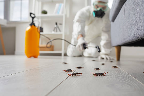 Commercial Kitchen Cockroach Control in East Vineland